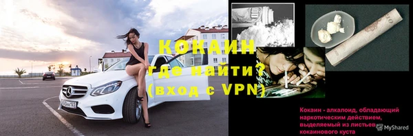 дживик Михайлов